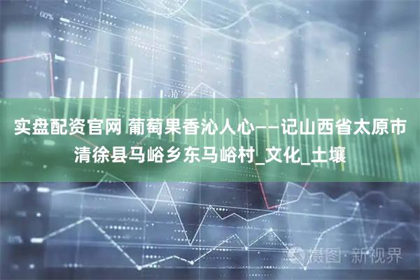 实盘配资官网 葡萄果香沁人心——记山西省太原市清徐县马峪乡东马峪村_文化_土壤