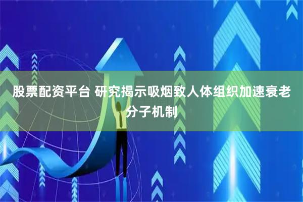 股票配资平台 研究揭示吸烟致人体组织加速衰老分子机制