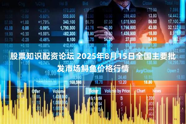 股票知识配资论坛 2025年8月15日全国主要批发市场鲟鱼价格行情