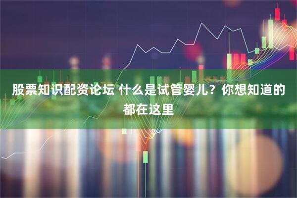 股票知识配资论坛 什么是试管婴儿？你想知道的都在这里