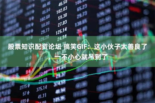 股票知识配资论坛 搞笑GIF：这小伙子太善良了，一不小心就吊到了